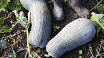 Vegetables and boots