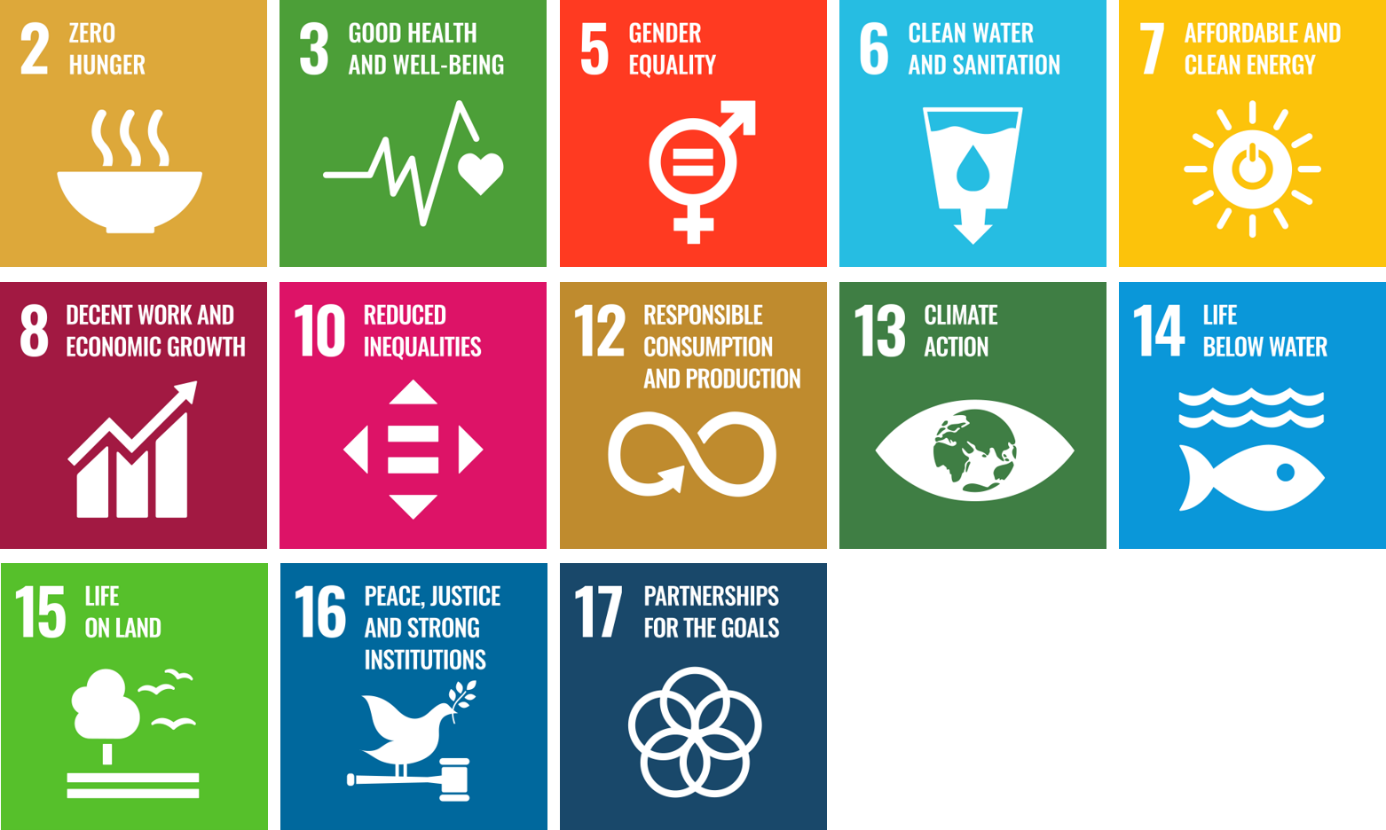 infographic on UNSDG goals