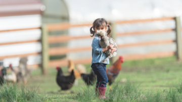 girl on farm holding a chicken