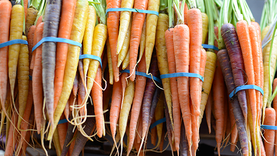 a variety of carrots