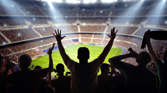 Cheering fans in a stadium