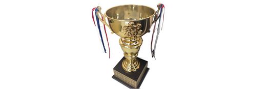 Rewards 2015